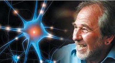 Dr Bruce Lipton